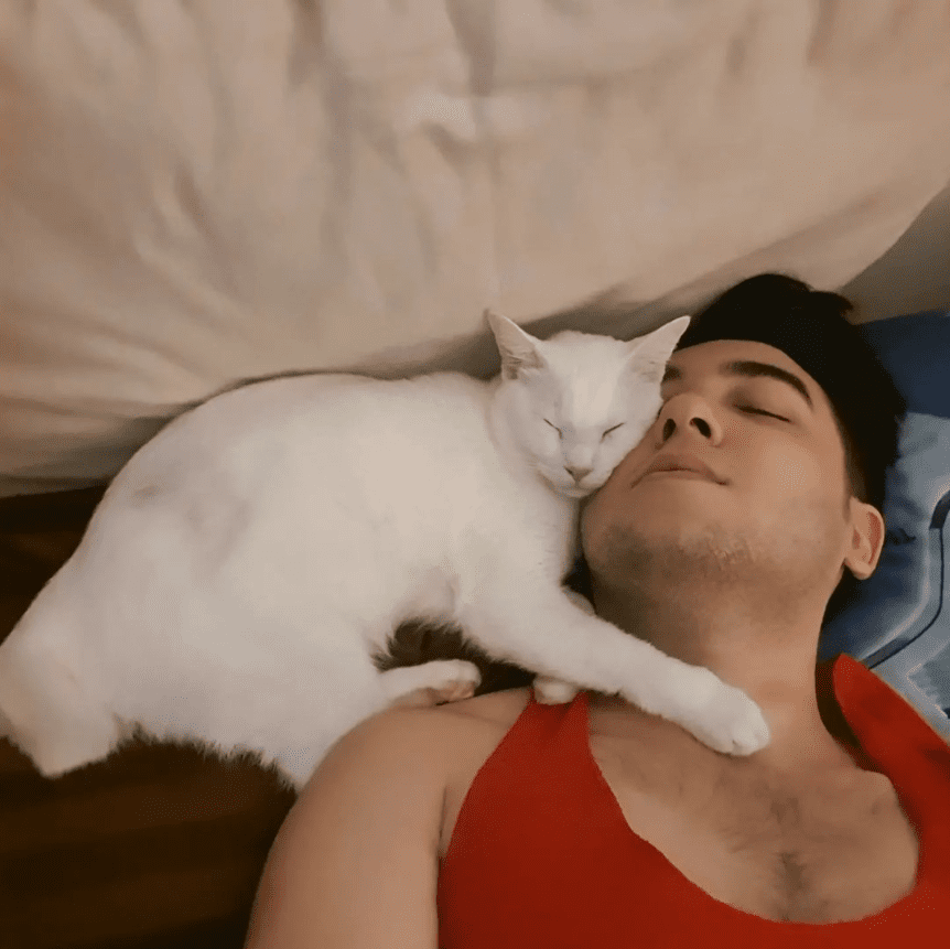 A person lying on a bed with a cat sleeping on his head
Description automatically generated